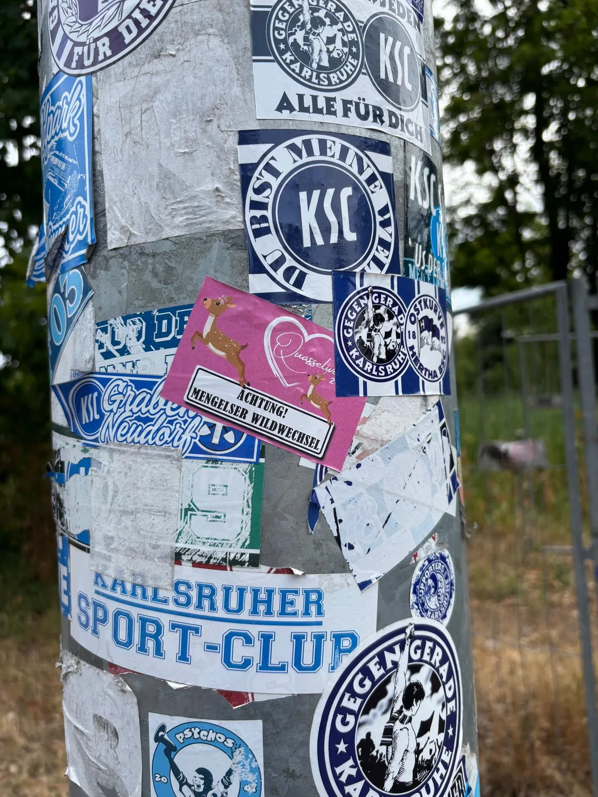 Laternenmast, der dicht mit Fußball-Stickern beklebt ist, darunter mehrere Karlsruher SC Motive